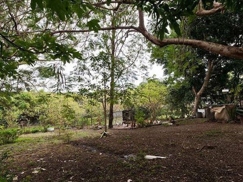 31 Nerang St, Waterford QLD 4133