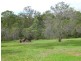 74-80 Sharton Ave, Buccan QLD 4207