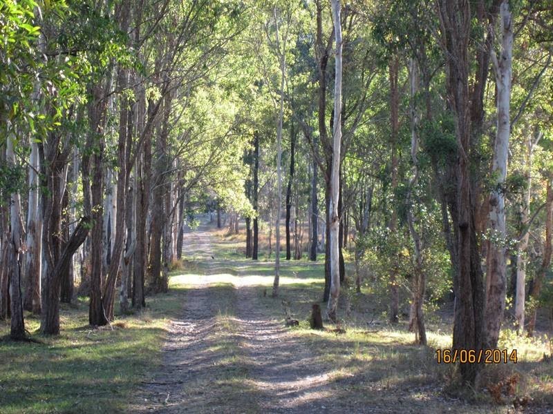 1024 Beaudesert-Beenleigh Road, Luscombe QLD 4207