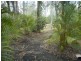 5 Old Mill Rd, Bannockburn QLD 4207