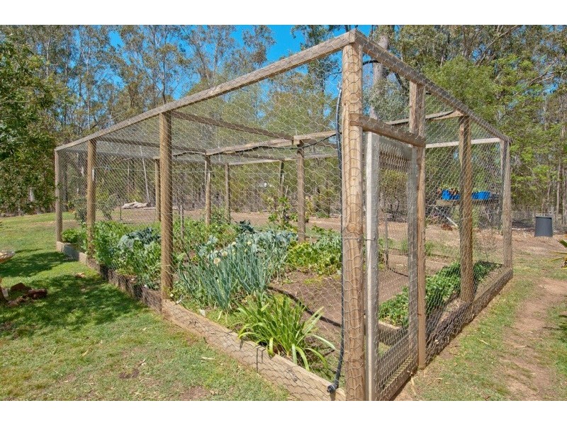 1849 Beaudesert Beenleigh Road, Tamborine QLD 4270