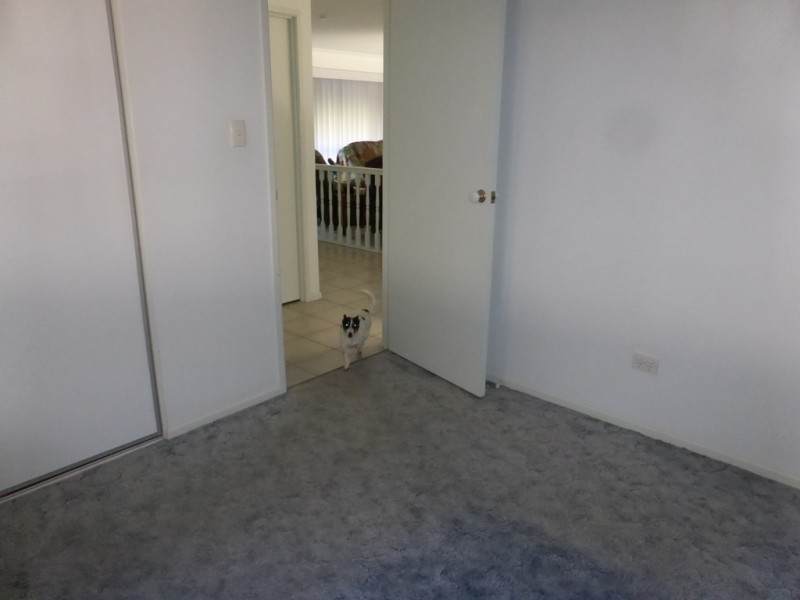 2 Viewbank Crt, Beenleigh QLD 4207