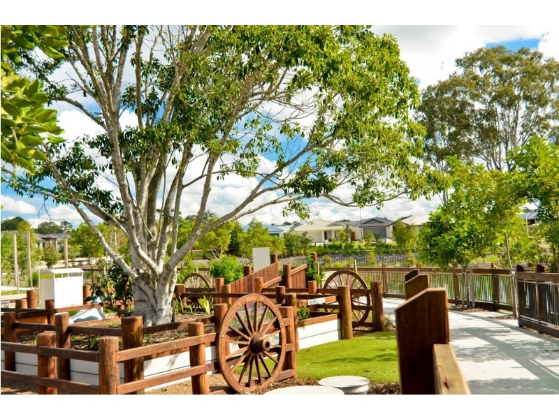 25 Travertine Avenue, Logan Reserve QLD 4133