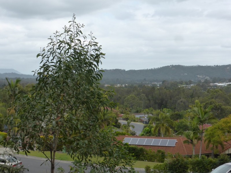 18 Lenna Crt, Mount Warren Park QLD 4207