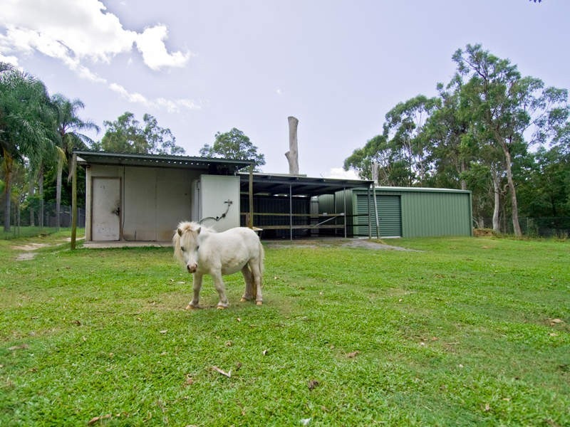 229 Teviot Road, Carbrook QLD 4130