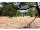 12 Champney Ct, Cedar Vale QLD 4285
