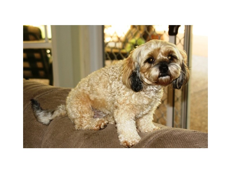 12 Piari Street, Loganholme QLD 4129