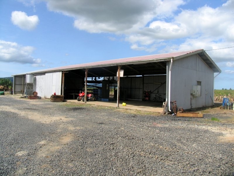 Bellenden Ker QLD 4871