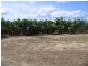 Bellenden Ker QLD 4871