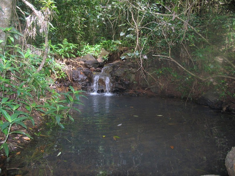 Goldsborough QLD 4865