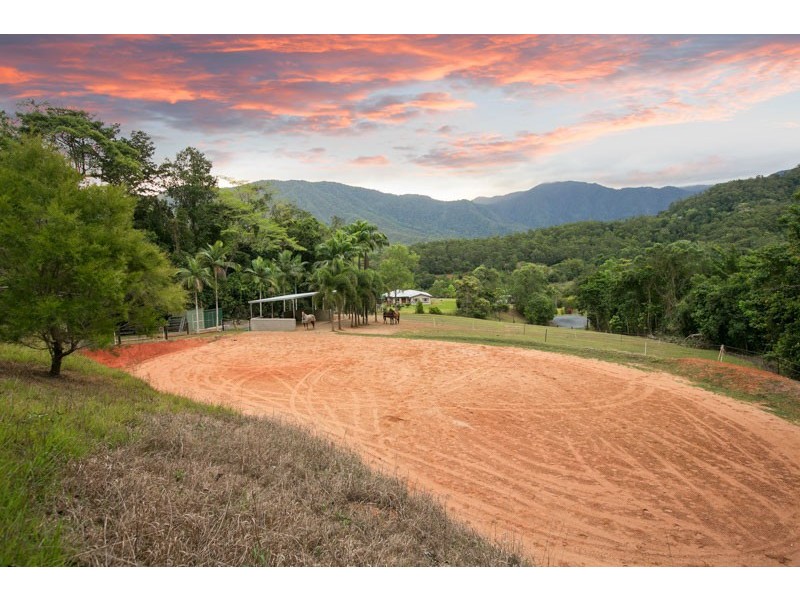 Little Mulgrave QLD 4865