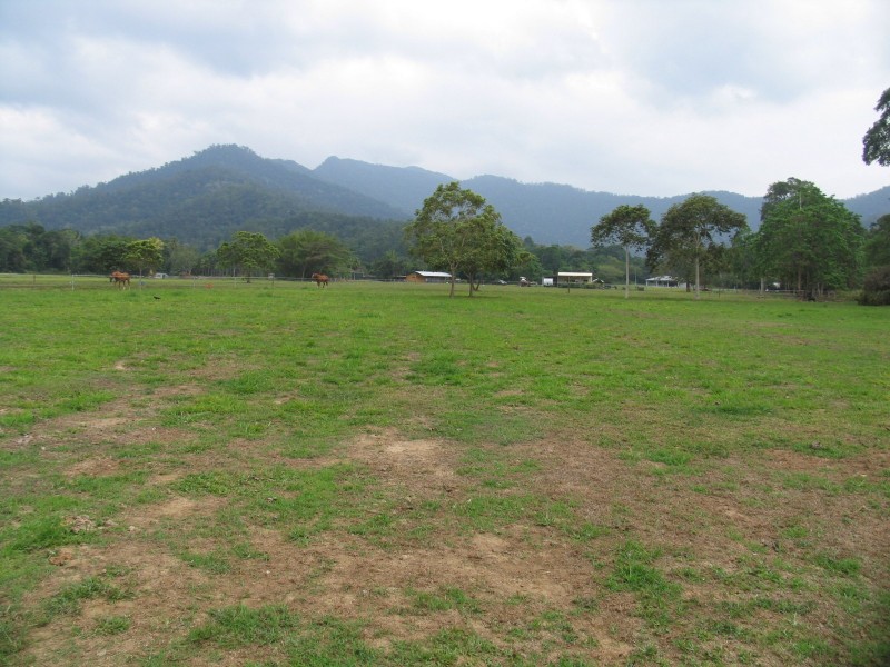 Little Mulgrave QLD 4865