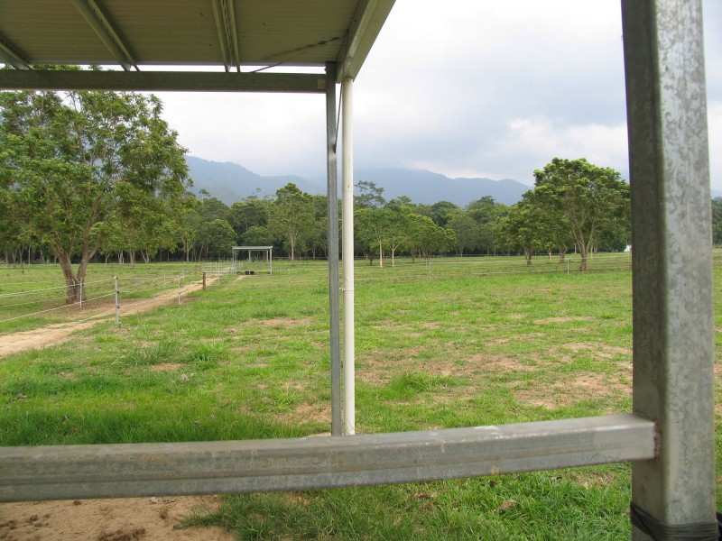 Little Mulgrave QLD 4865