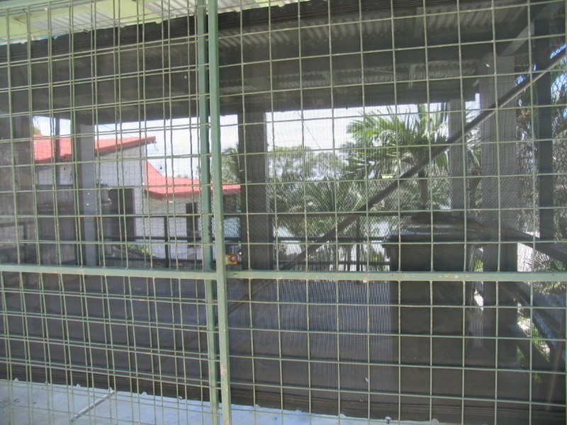 East Trinity QLD 4871