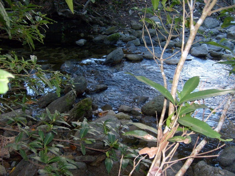 Fishery Falls QLD 4871
