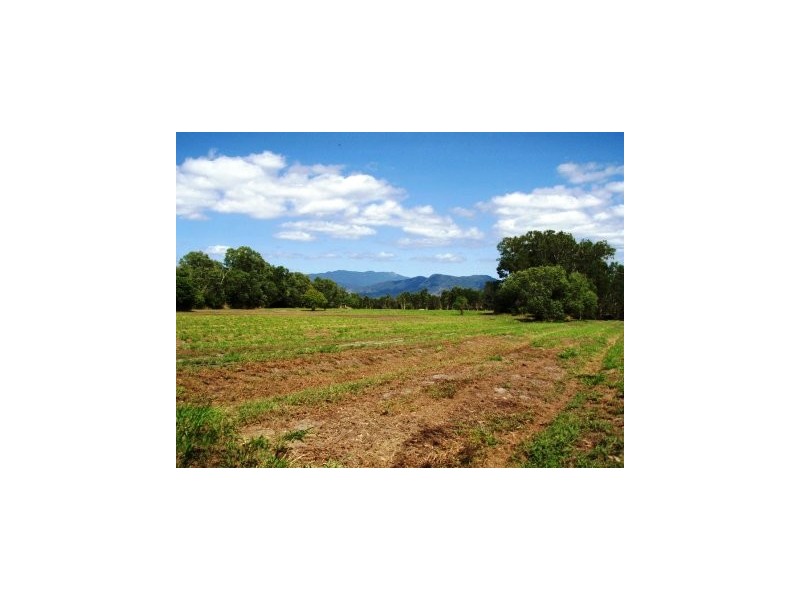 East Trinity QLD 4871