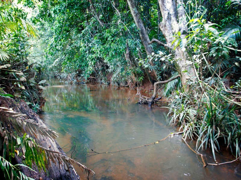 Innisfail QLD 4860