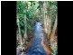 Innisfail QLD 4860