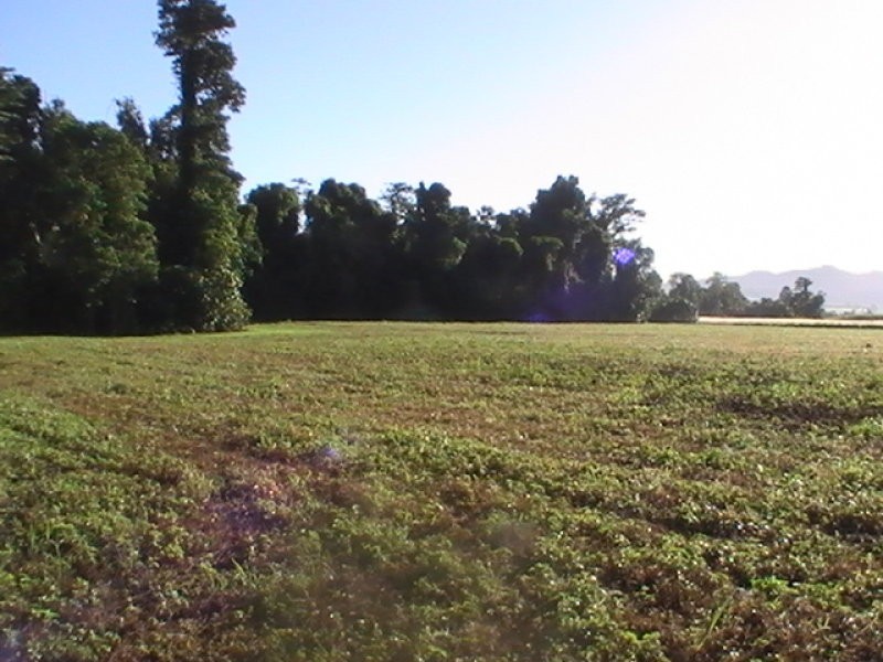 Innisfail QLD 4860