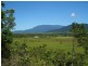 Babinda QLD 4861