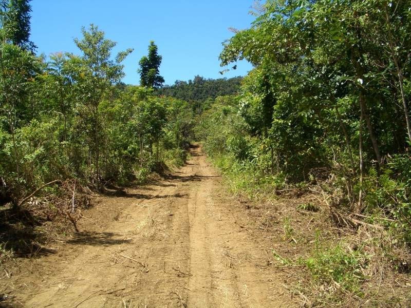 Babinda QLD 4861
