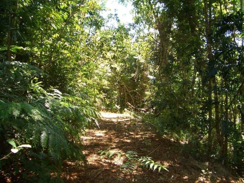 Babinda QLD 4861