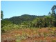 Babinda QLD 4861
