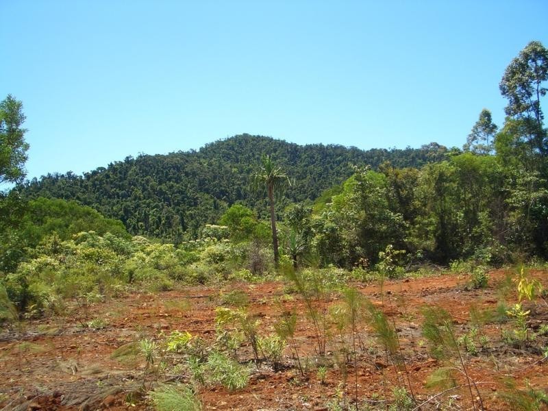 Babinda QLD 4861