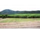 Gordonvale QLD 4865