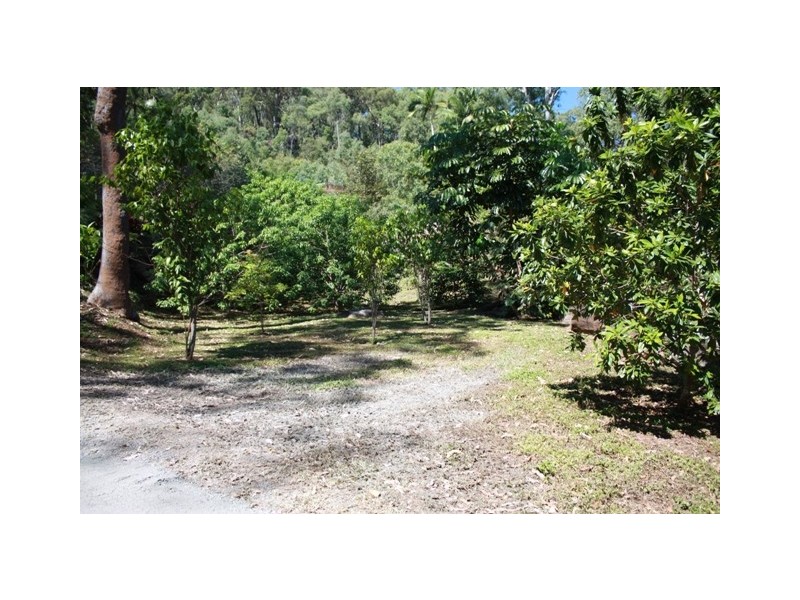 East Trinity QLD 4871