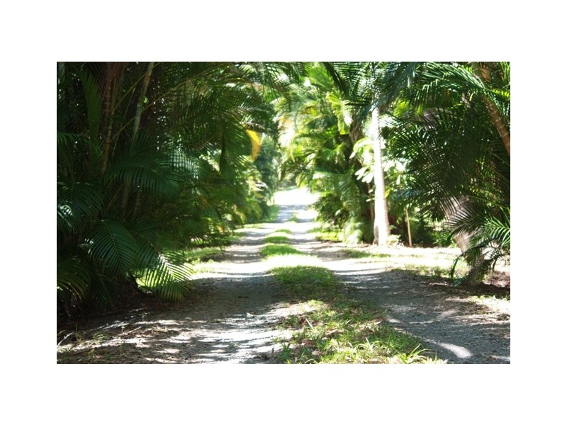 East Trinity QLD 4871