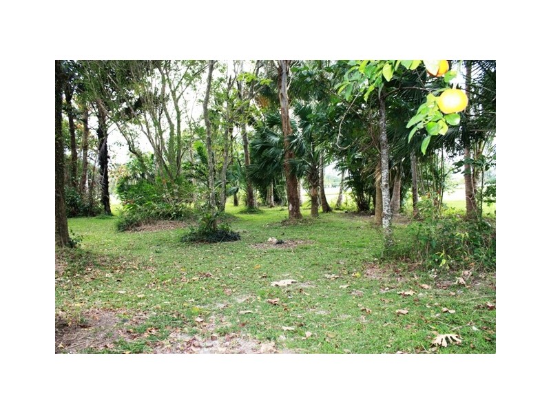 Gordonvale QLD 4865