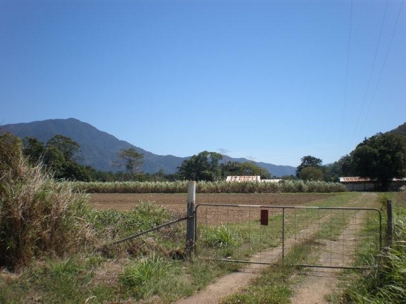 187 Maitland Road, Gordonvale QLD 4865