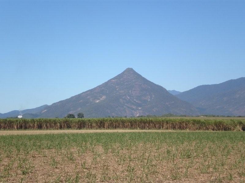 187 Maitland Road, Gordonvale QLD 4865