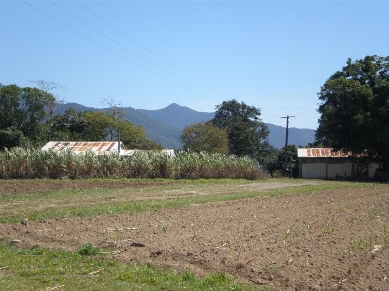 187 Maitland Road, Gordonvale QLD 4865