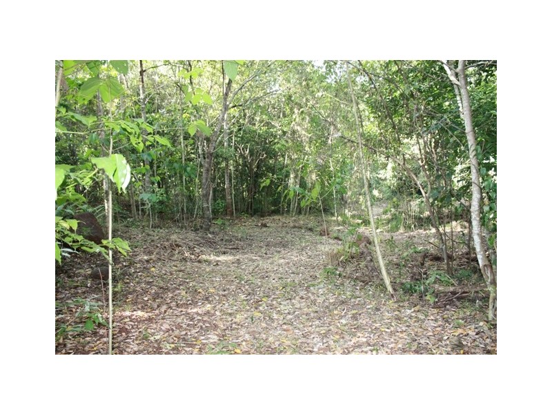 Lot 254 Claim Close, Goldsborough QLD 4865