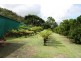 Gordonvale QLD 4865