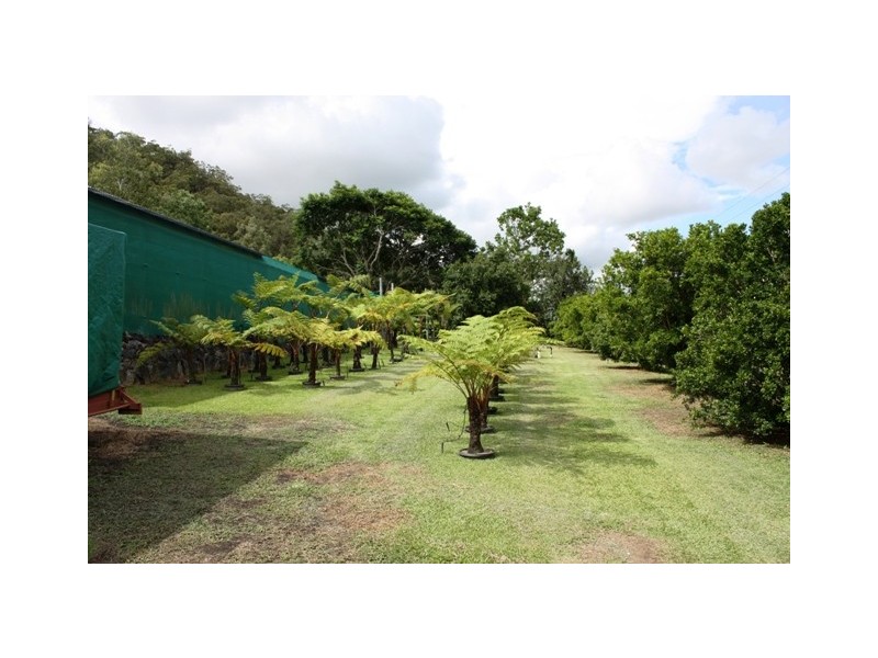 Gordonvale QLD 4865