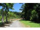Gordonvale QLD 4865