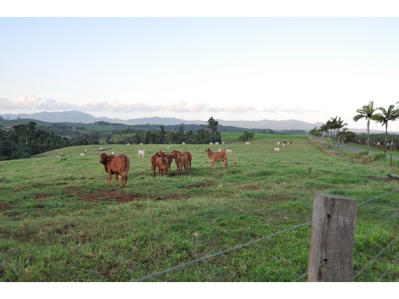 Innisfail QLD 4860