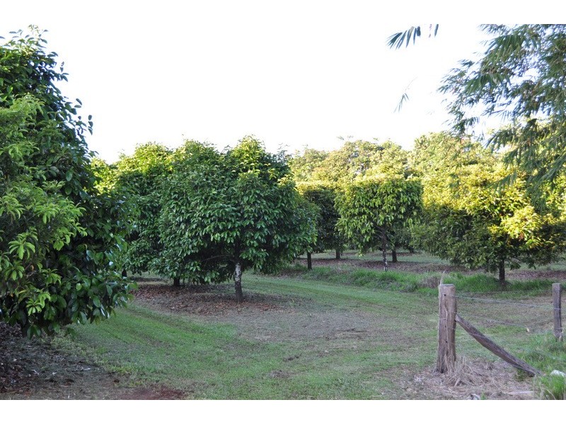 Innisfail QLD 4860