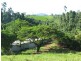Innisfail QLD 4860