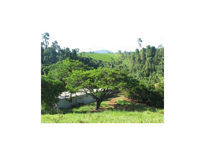 Innisfail QLD 4860