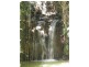 Innisfail QLD 4860