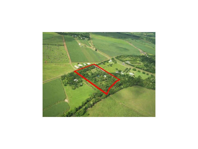 Bellenden Ker QLD 4871