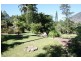 25 Dempsey Street, Gordonvale QLD 4865