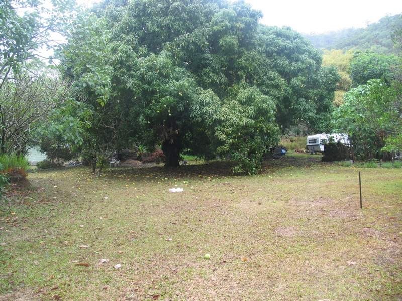 Lot 66 Pine Creek, East Trinity QLD 4871