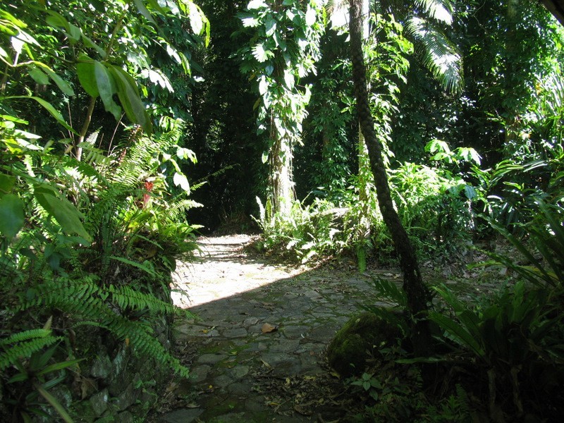 East Trinity QLD 4871