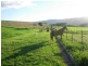 Goldsborough QLD 4865