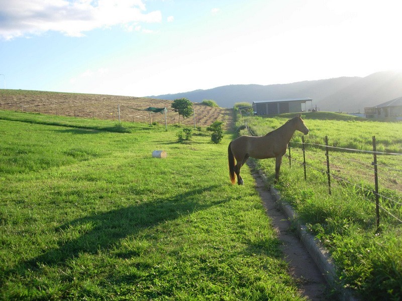Goldsborough QLD 4865